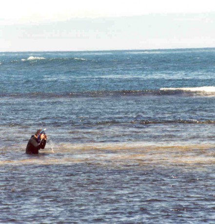 Snorkelling at Pondalowie Bay