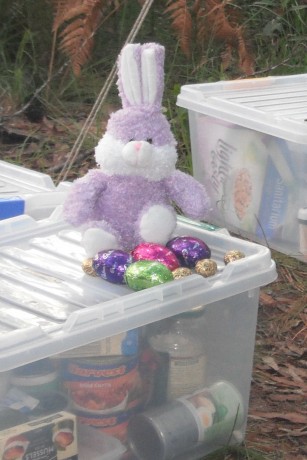 Easter Bunny in the Bush