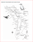 4 Lord Howe Map Walking Tracks