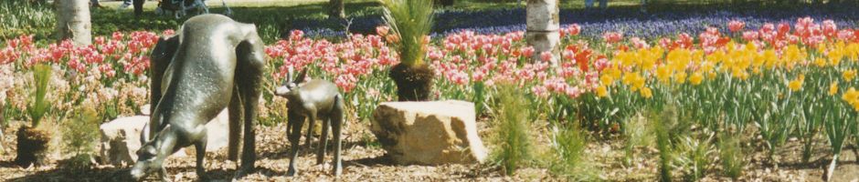 Canberra Bulb riot of 1994