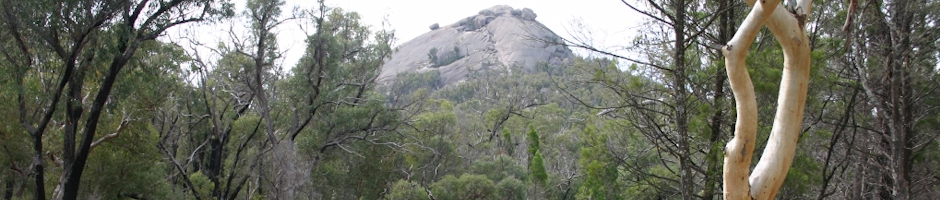 Natural Sculptures of Girraween National Park