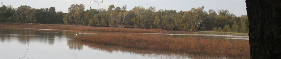 Chinchilla Weir