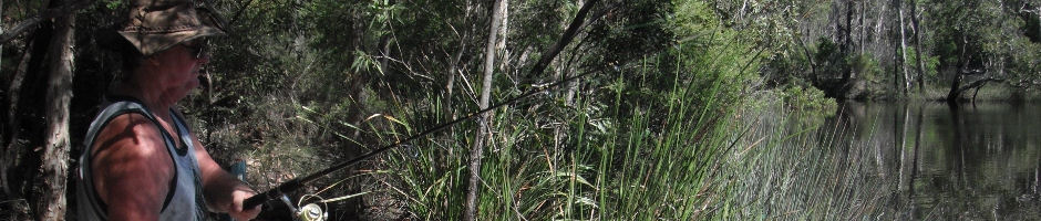 Stalking Goannas