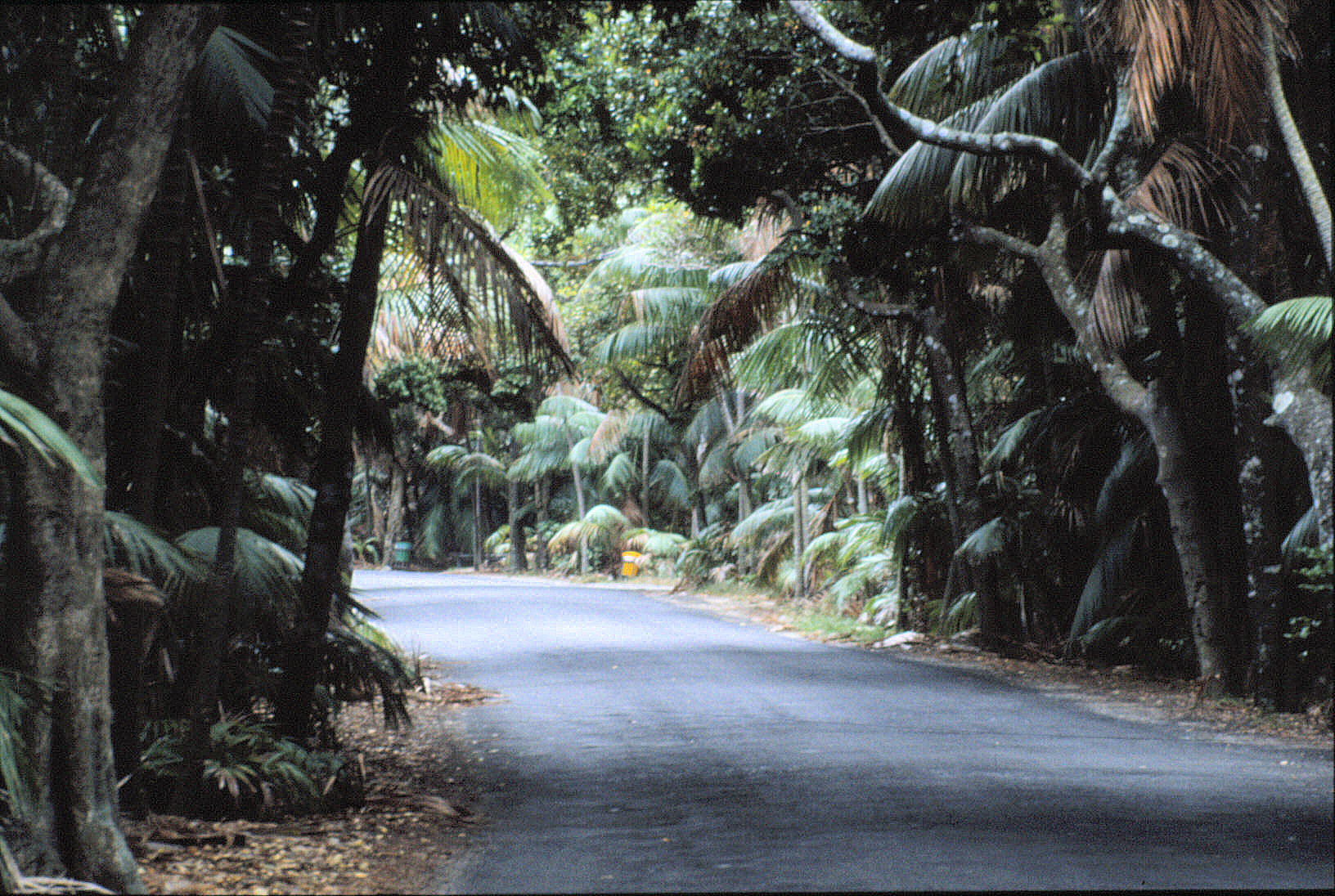 51 Lord Howe Island 0023