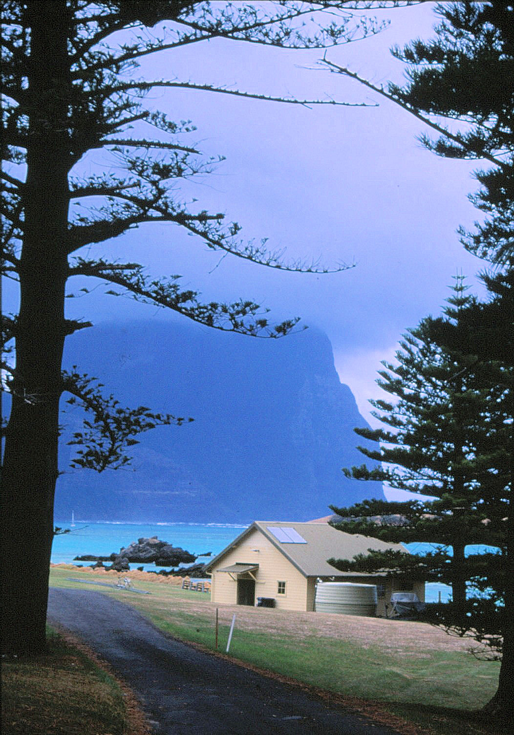 64 Lord Howe Island 0079