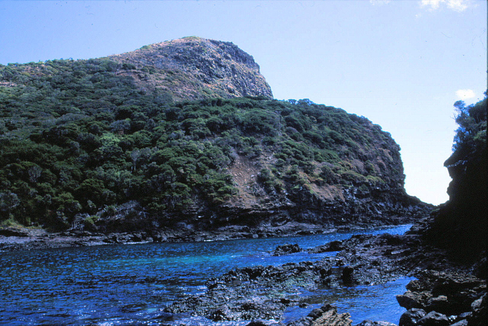 71 Lord Howe Island 0103