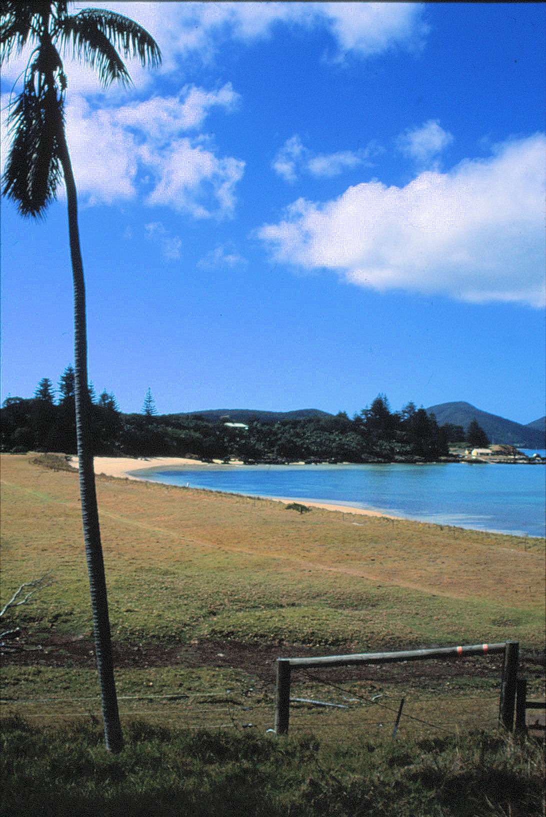 70 Lord Howe Island 0140