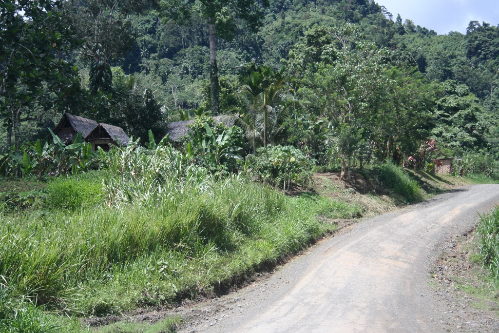 Villages in the Jungle